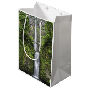 Brücke über Wasserfall-Landschaft Mittlere Geschenktüte