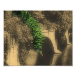 Brücke von Blume Vintag, teilweise Farbe 8x10 Fotodruck