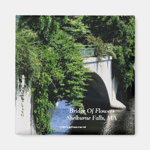 Brücke von Blumen Shelburne Fälle MA-Magneten Magnet