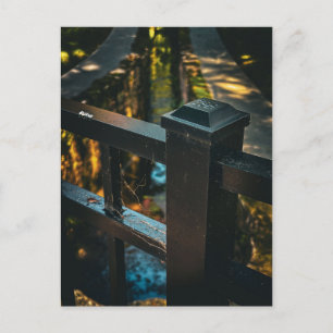 Brückengeländer mit Sonnenlichtreflexionen Postkarte