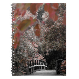 Brückenweg in Naturfotografie Notizblock