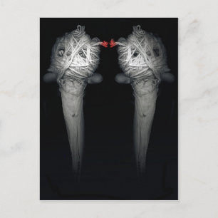 Brüder 2013 postkarte