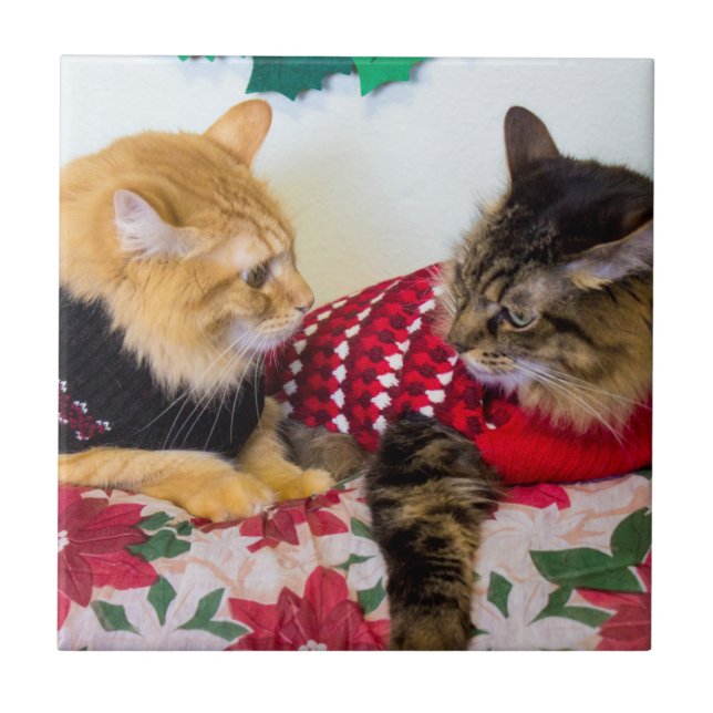 Brüder Fliese (Vorderseite)