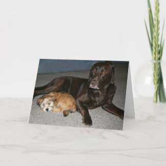 Bruder-Geburtstags-Karte Karte