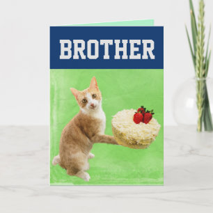 BRUDER KATZGEBURTSTAG KAKE BIG GREETING CARD KARTE