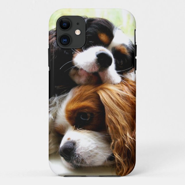 Bruder-Kavaliere iPhone 5/5S Fall Case-Mate iPhone Hülle (Rückseite)