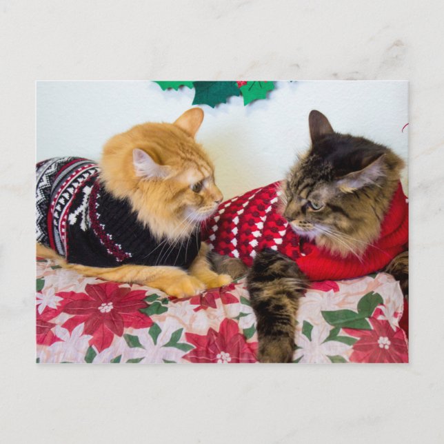 Brüder Postkarte (Vorderseite)