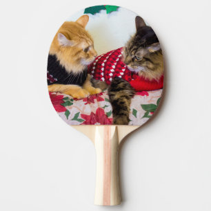 Brüder Tischtennis Schläger