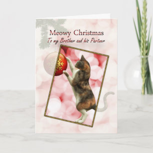 Bruder und Partner, Meowy Weihnachten