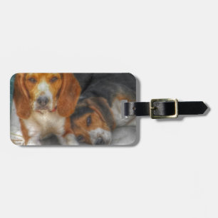Brüderliche Beagles Gepäckanhänger