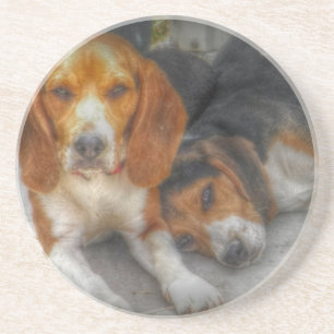 Brüderliche Beagles Getränkeuntersetzer