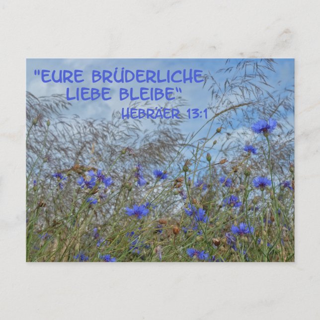Brüderliche Liebe Postkarte (Vorderseite)