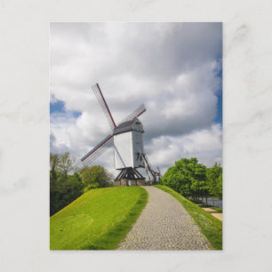 Brugge Windmill Postcard Postkarte