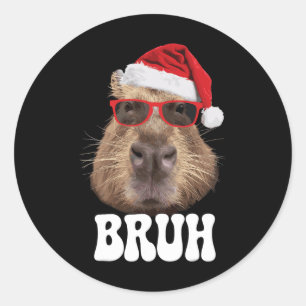 Bruh Capybyra Funny Weihnachtsmannmütze Weihnachts Runder Aufkleber