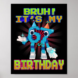 Bruh Es ist mein Geburtstag 67 Sechs Sieben 6-7 Lu Poster