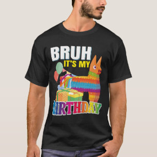 Bruh Es ist mein Geburtstag Llama Pinata Junge Mäd T-Shirt