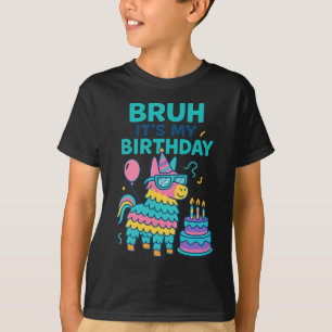 Bruh Es ist mein Geburtstag Lustiger Llama Pinata  T-Shirt