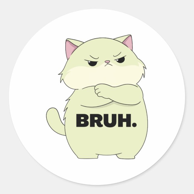 Bruh Kitty Sticker (Vorderseite)