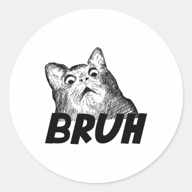 Bruh Shocked Gasp Cat Funny Runder Aufkleber (Vorderseite)