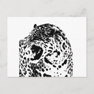 Brüllender Jaguar Postkarte