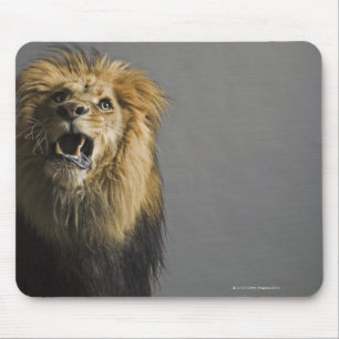 Brüllender Löwe Mousepad