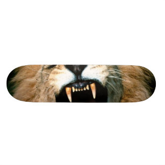 Brüllenlöwe Skateboard