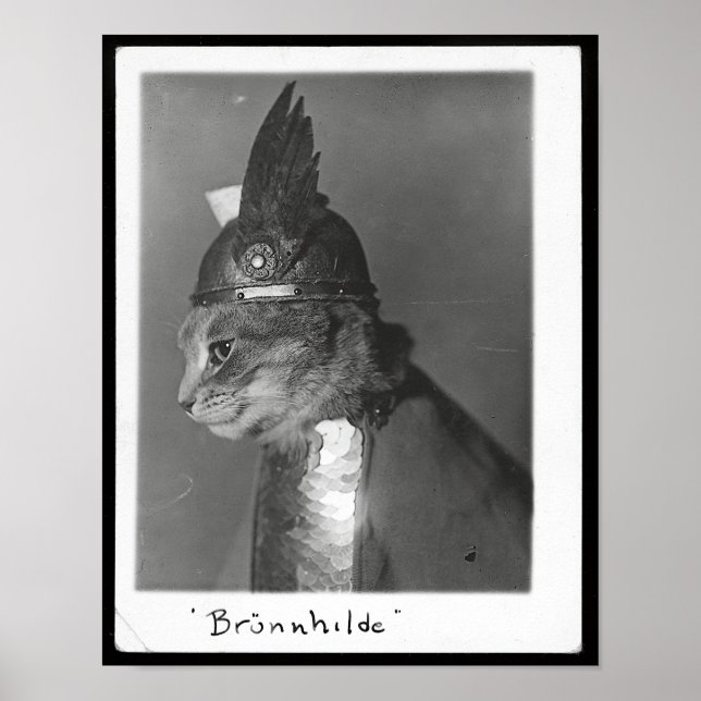 Brunhild Brunhilda Brynhild Brünhilde Cat Poster (Vorne)