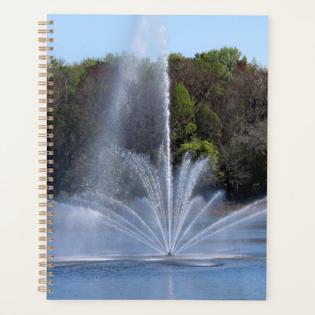 Brunnen am See Planer (Vorderseite)