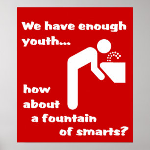 Brunnen der Klugheit Lustiges Poster Humor