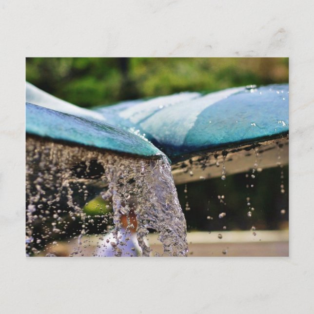 Brunnen im Birch Aquarium in La Jolla Postkarte (Vorderseite)
