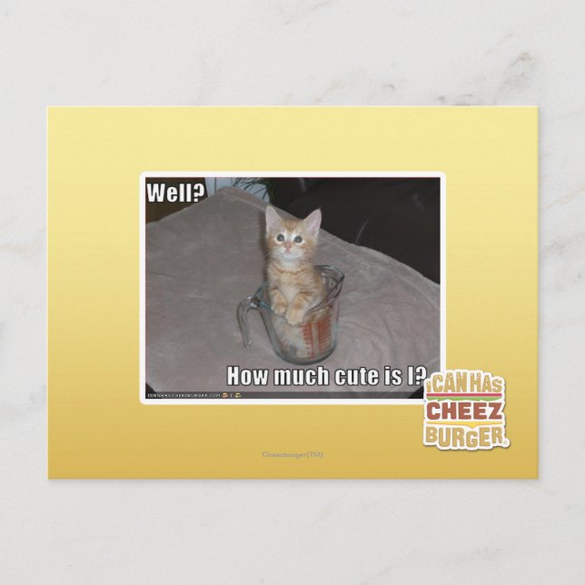 Brunnen? Postkarte (Vorderseite)