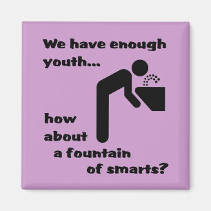 Brunnen Smarts-des lustigen Magnet-Spaßes Magnet
