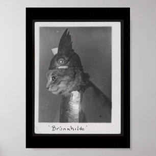 Brunnhilde kitty poster