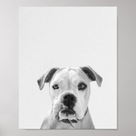 Bruno, der amerikanische Bulldog Poster