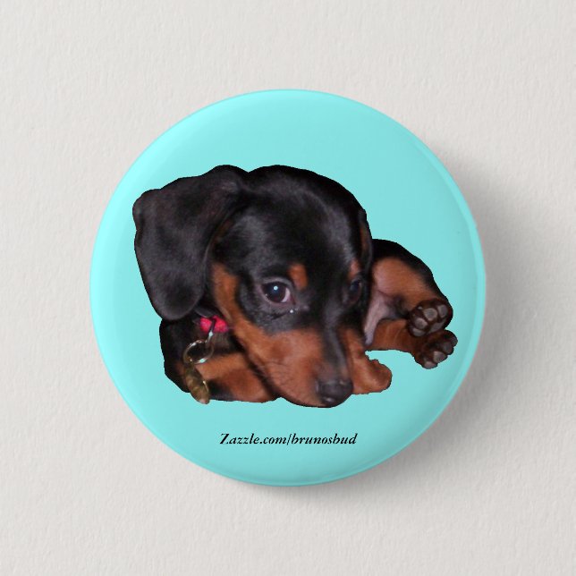 Bruno-Knopf Button (Vorderseite)