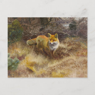 Bruno Liljefors - Fox und Landschaft Postkarte