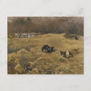 Bruno Liljefors - Schwarze Grouse-Präsentation Postkarte