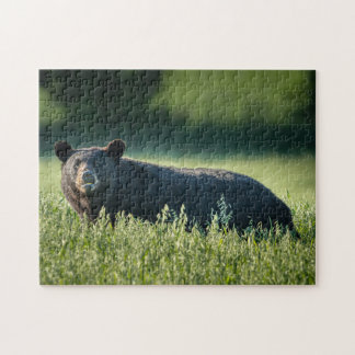 Bruno the Bären Puzzle