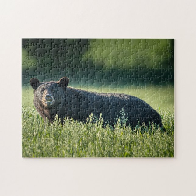 Bruno the Bären Puzzle (Horizontal)