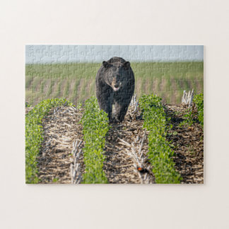 Bruno the Bear in Beans Puzzle