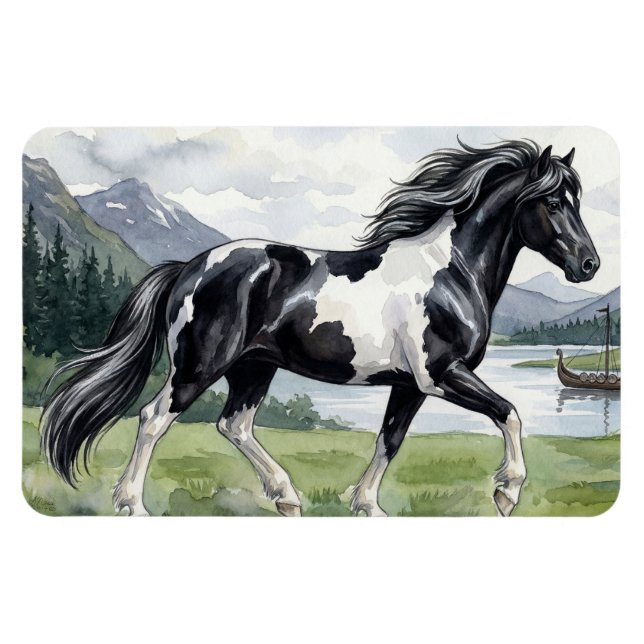 Brunskjottur Schwarzer Pinto Isländer Magnet (Horizontal)
