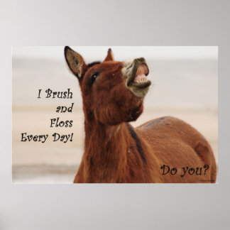 Brush and Floss Your Teeth Daily Poster