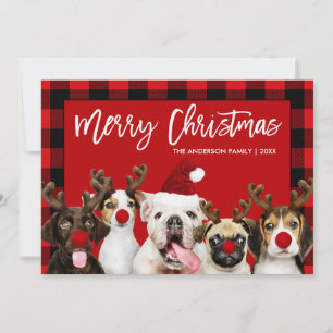 Brush Script Frohe Weihnachtshunde Rot Kariert Feiertagskarte