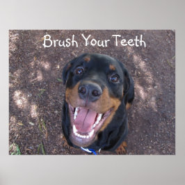 Brush Your Teeth Rottweiler Puppy Poster