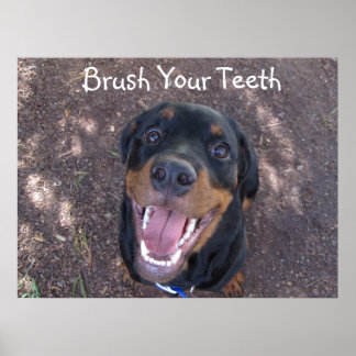 Brush Your Teeth Rottweiler Puppy Poster