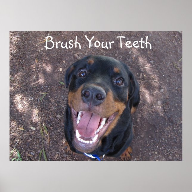 Brush Your Teeth Rottweiler Puppy Poster (Vorne)
