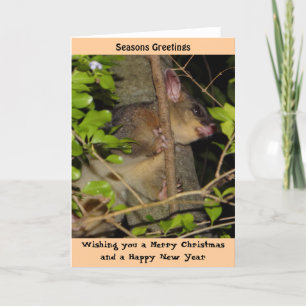 Brushtail Opossum-Weihnachtskarte Feiertagskarte