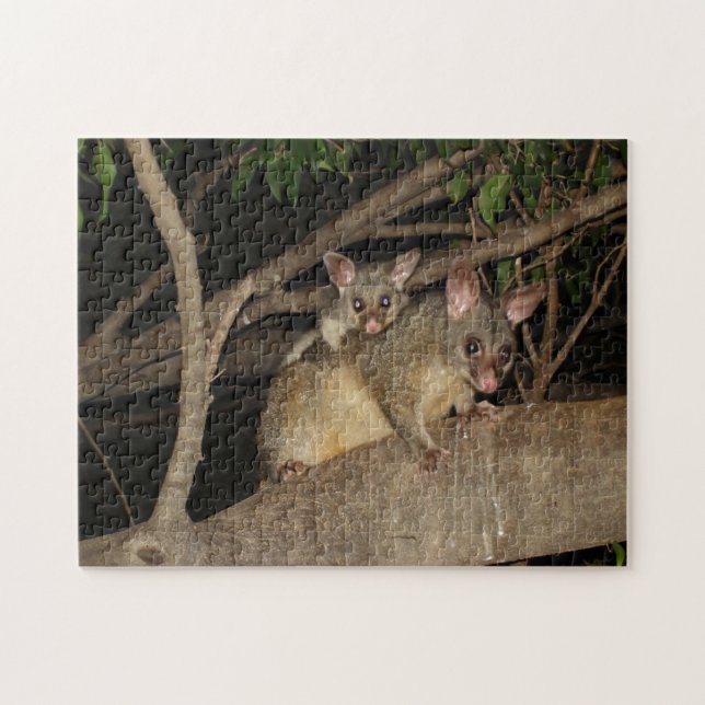 Brushtail Opossums Puzzle (Horizontal)