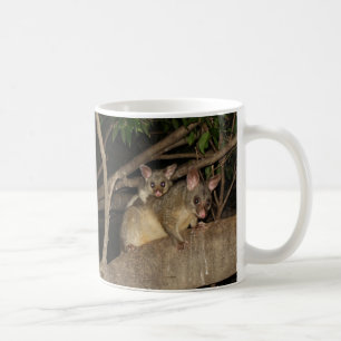 Brushtail Opossums Tasse