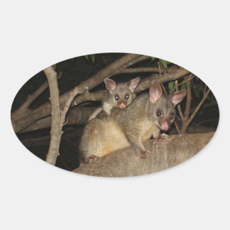 Brushtail Possum Ovaler Aufkleber